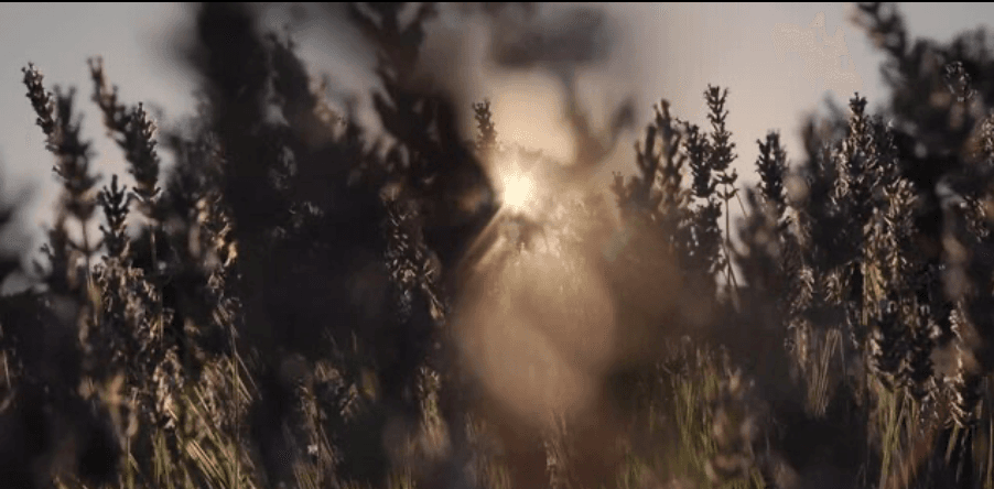 WHISPERS OF HERBS slide 2